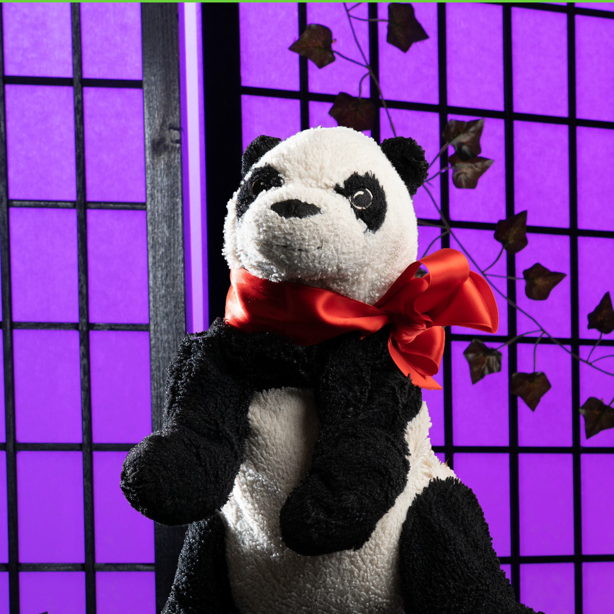 Profilbild Chen Lu